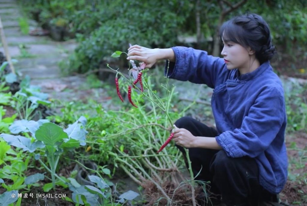 李子柒的YouTube频道拥有近1000万订户,这些抚慰人心的视频展现了理想化的中国农村生活。